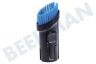 CP0722/01 Borstel