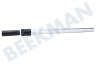 Nilfisk Stofzuiger Telescoopbuis 32mm Elite Serie