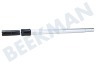 Nilfisk Stofzuiger Telescoopbuis 32mm Elite Serie
