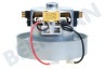 Dyson Stofzuiger Motor YDK YV16K23C 230V