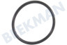 Karcher  6.363-536.0 O-Ring 21 x 1,5 mm