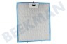 Aeg electrolux Afzuigkap Vetfilter 253x300mm.