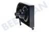 Siemens Kaffeemaschine 653257, 00653257 Halter von Ventil Wassertank