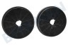 HF2004 Filter