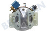 Boiler Element