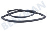 Gorenje Oven-Magnetron Deurrubber Afdichtingsrubber