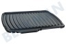Rowenta  TS-01035590 Grillplaat Grill, Panini